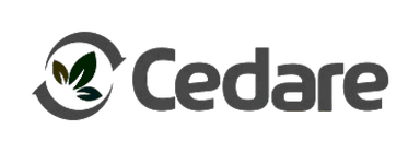 Save the Children - Herramientas digitales para ONG por Boring Software